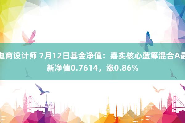 电商设计师 7月12日基金净值：嘉实核心蓝筹混合A最新净值0.7614，涨0.86%