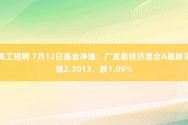 美工招聘 7月12日基金净值：广发新经济混合A最新净值2.3013，跌1.09%