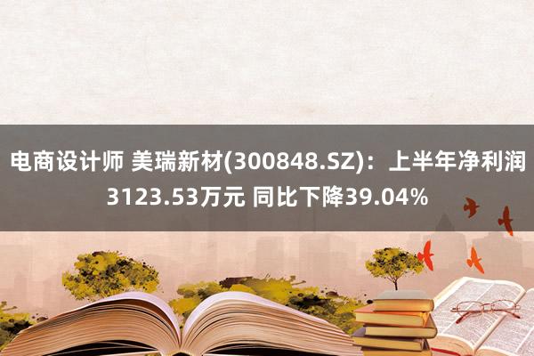 电商设计师 美瑞新材(300848.SZ)：上半年净利润3123.53万元 同比下降39.04%