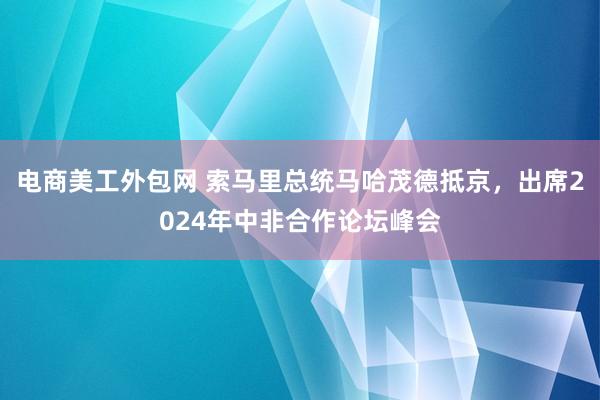 电商美工外包网 索马里总统马哈茂德抵京，出席2024年中非合作论坛峰会