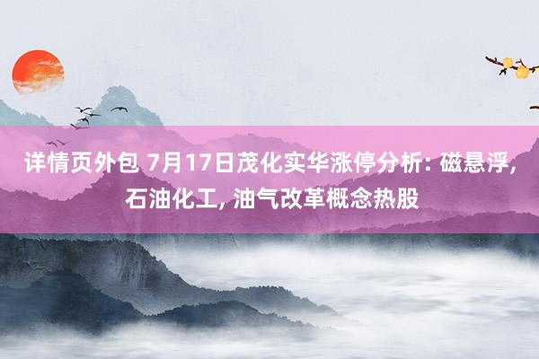 详情页外包 7月17日茂化实华涨停分析: 磁悬浮, 石油化工, 油气改革概念热股