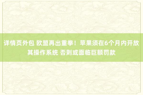 详情页外包 欧盟再出重拳！苹果须在6个月内开放其操作系统 否则或面临巨额罚款